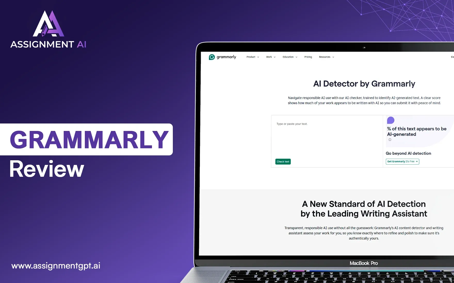 Grammarly AI Detector Review for 2025 | Is It Really Accurate?