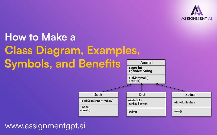 How to Make a Class Diagram | Examples, Symbols, and Benefits