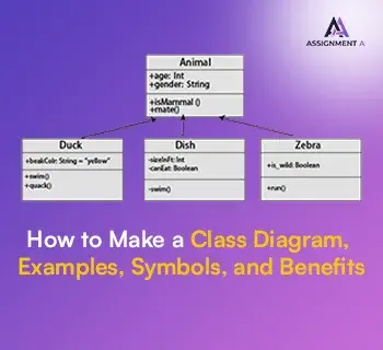 How to Make a Class Diagram :  Examples, Symbols, and Benefits