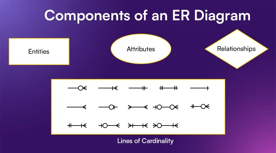 Components of an ER Diagram