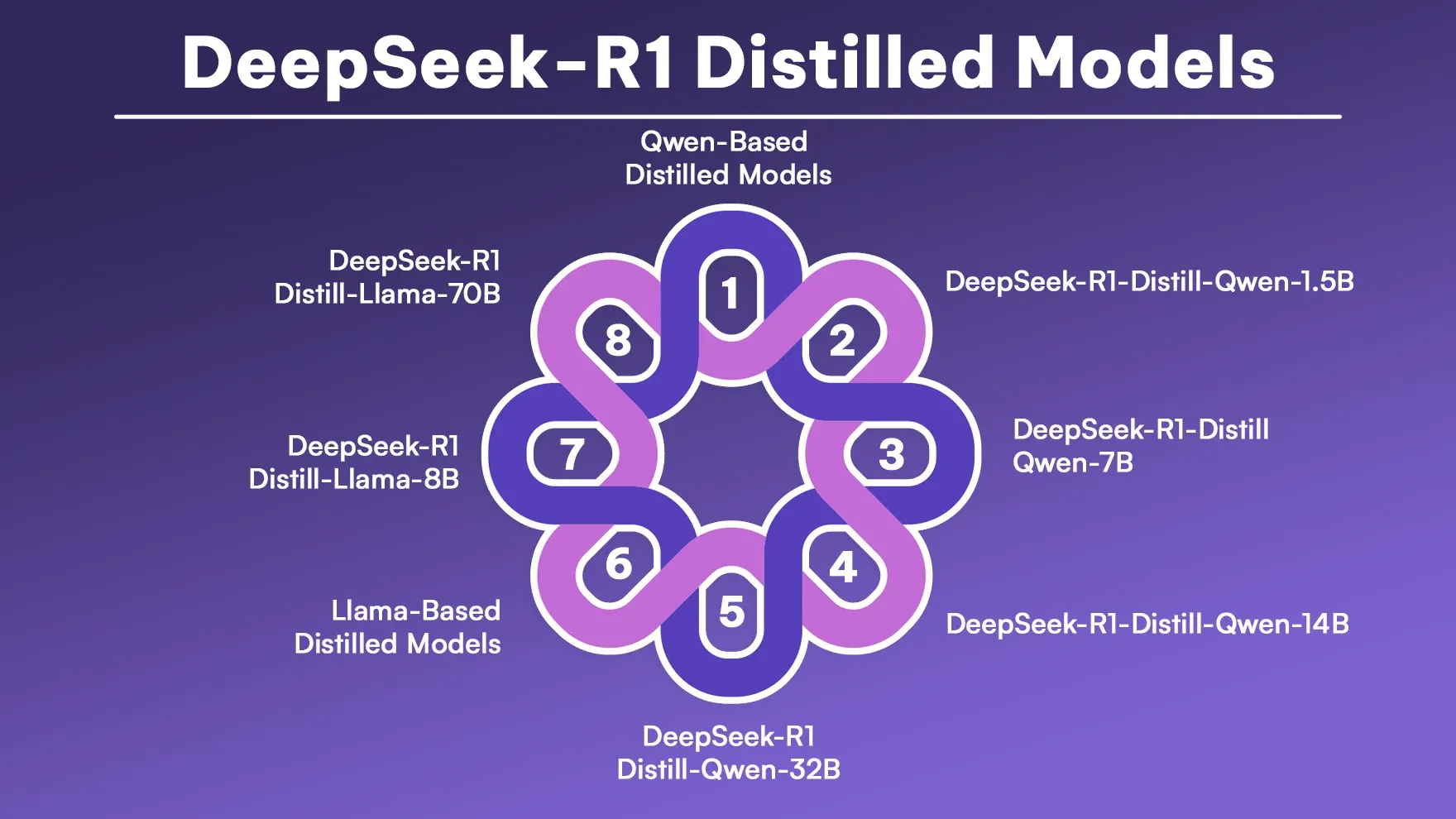 DeepSeek-R1 Distilled Models