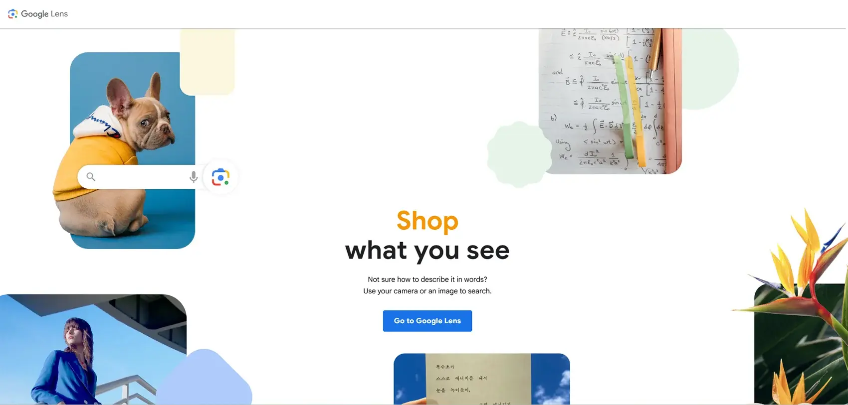 Google Lens Google Lens