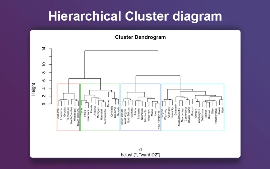 Hierarchical Cluster diagram