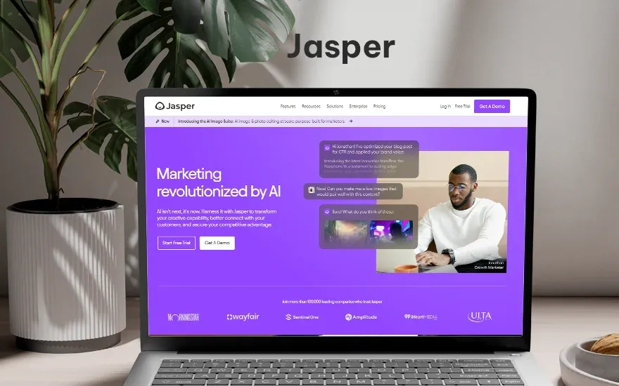 Jasper.webp