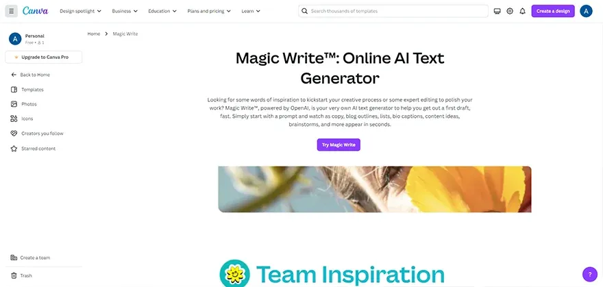 Magic Write