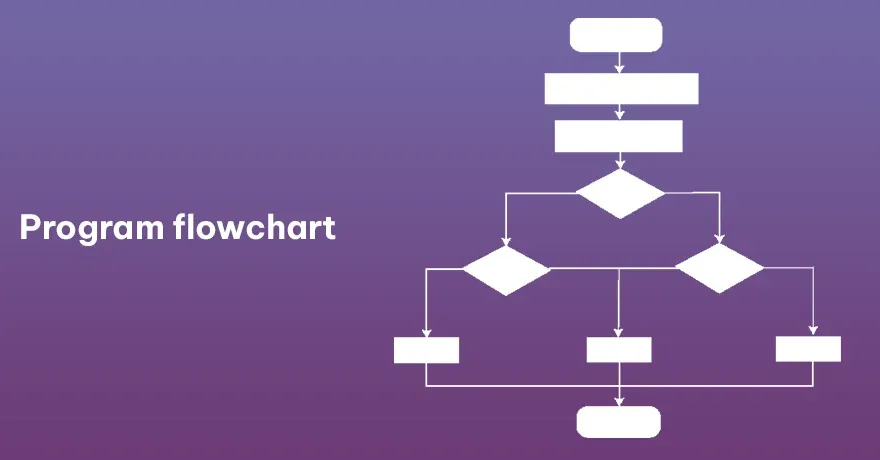 Program flowchart 