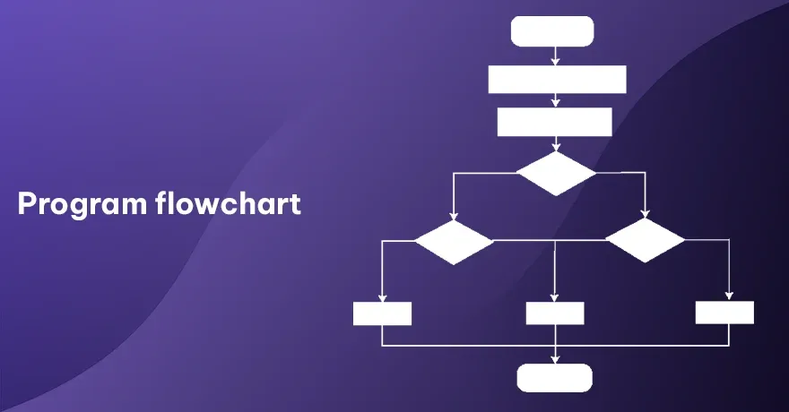 Program flowchart