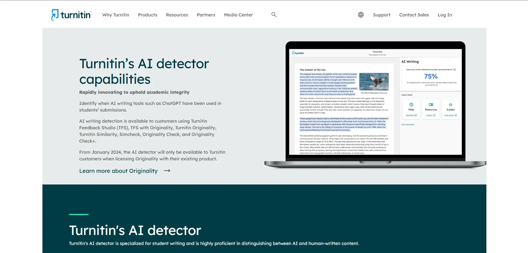 Turnitin AI Detector