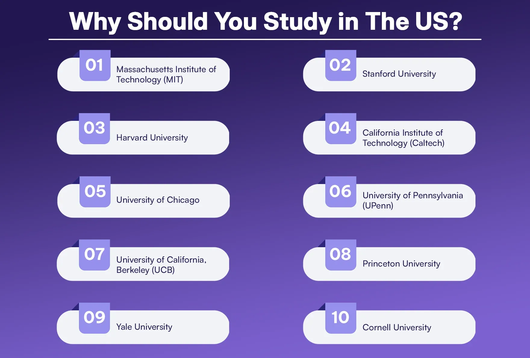 Why Should You Study in The US